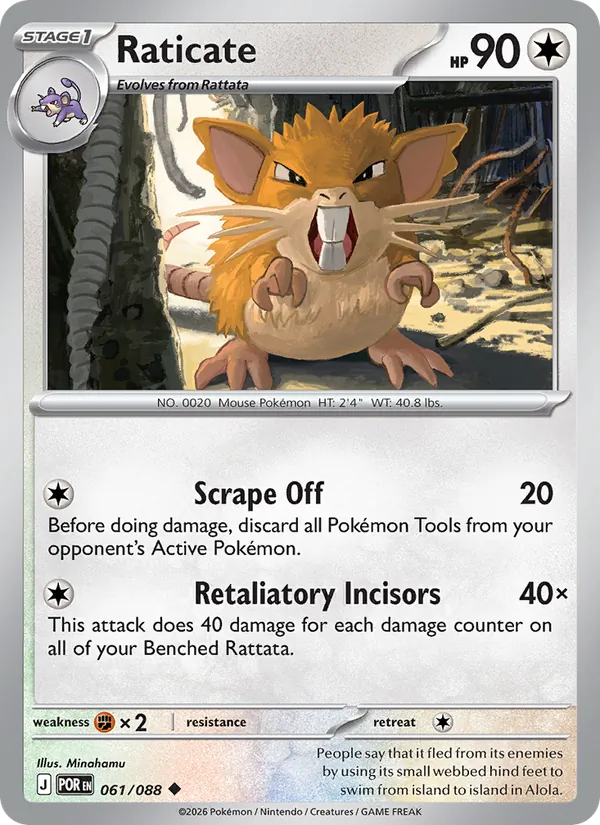 Raticate 061/88 — Perfect Order