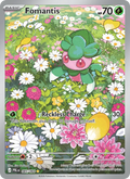 Fomantis 085/84 — Pitch Black